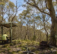Mount Barrington picnic area - Attractions Brisbane
