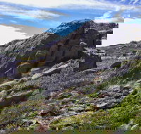 Mount Stillwell walk - Attractions Brisbane