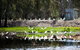 Narrandera Wetlands - thumb 1