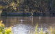 Narrandera Wetlands - thumb 2