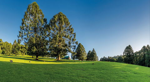 National Parks And Artisan Stories - Attractions Brisbane 0