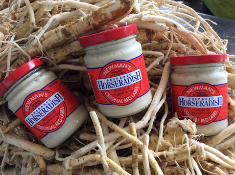 Newman's Horseradish Farm And Rusticana Wines - Attractions Brisbane 0