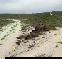 Ngarkat Conservation Park - Attractions Brisbane