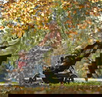 Noreuil Park - Attractions Brisbane