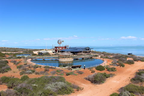 Ocean Park Aquarium - Attractions Brisbane 1