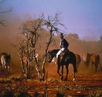 Outback Heritage and Coal Adventure - Attractions Brisbane