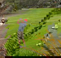 Pambula Merimbula Golf Club - Attractions Brisbane