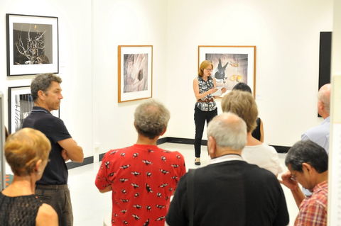 Pine Rivers Art Gallery - Attractions Brisbane 1