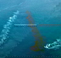 Port Noarlunga Reef Sanctuary Zone - Encounter Marine Park - Attractions Brisbane