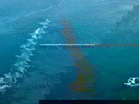 Port Noarlunga Reef Sanctuary Zone - Encounter Marine Park