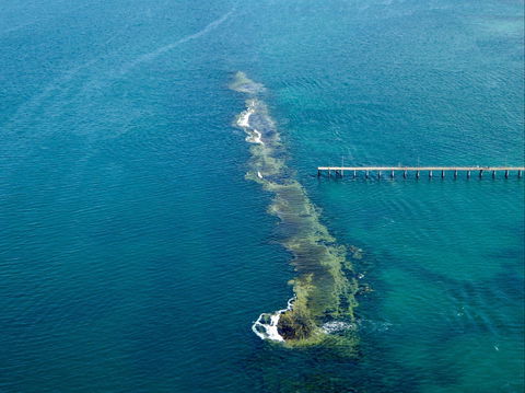 Port Noarlunga Reef Sanctuary Zone - Encounter Marine Park - Attractions Brisbane 0