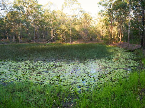 Raysource Road - Attractions Brisbane 2