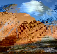 Red Banks Conservation Park - Attractions Brisbane