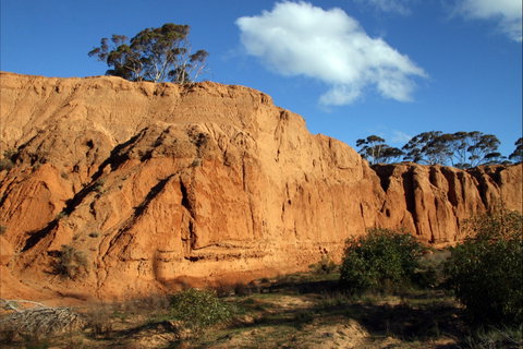 Red Banks Conservation Park - Attractions Brisbane 0