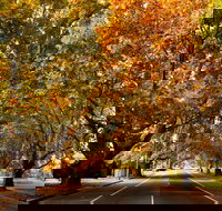 Richmond - Attractions Brisbane