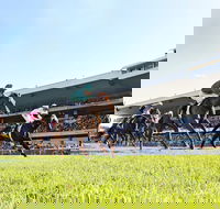 Rosehill Gardens Racecourse - Attractions Brisbane