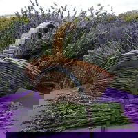 Rustique Lavender Farm