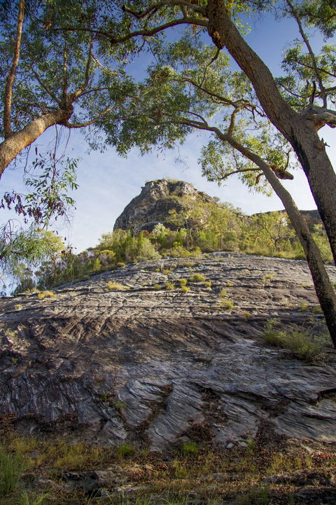 Salvator Rosa, Carnarvon National Park - Attractions Brisbane 1