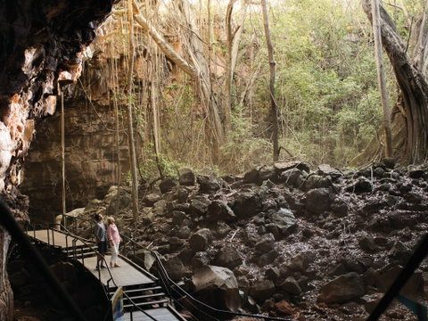Savannah Way - Attractions Brisbane 0