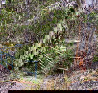 Sawpit Walking Track - Attractions Brisbane