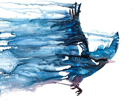 Sluga Gallery - Attractions Brisbane 1