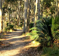 Square Head Track 2 - Attractions Brisbane