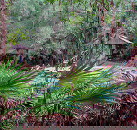 Sugar Creek Picnic Area - Attractions Brisbane