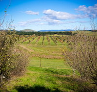 Tarago Truffles - Attractions Brisbane