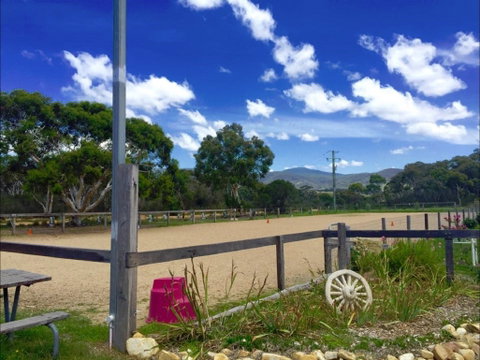 The Saddle Camp - Attractions Brisbane 2