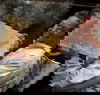 The House of Honey - Attractions Brisbane