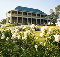 The Cedar Route - Attractions Brisbane