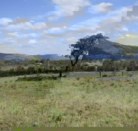 Thornton - Attractions Brisbane