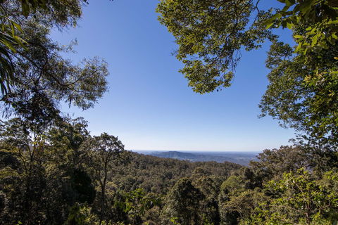 Thylogale Track - Attractions Brisbane 2