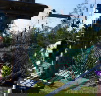 Trees Adventure - Lane Poole Park - Attractions Brisbane