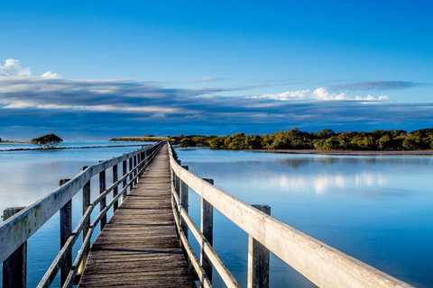 Urunga Boardwalk - Attractions Brisbane 1
