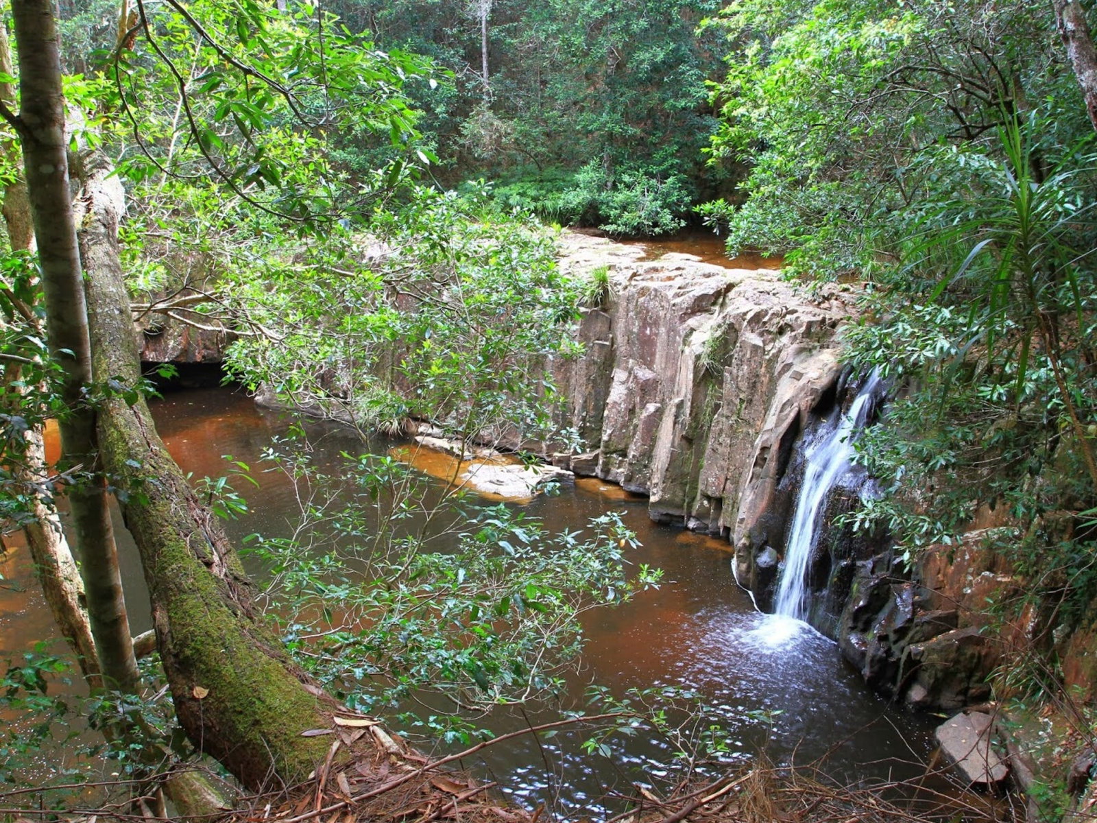 Waitui NSW Attractions Brisbane