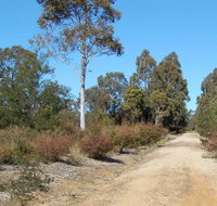 Werakata National Park - Attractions Brisbane