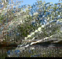Wongi State Forest - Attractions Brisbane