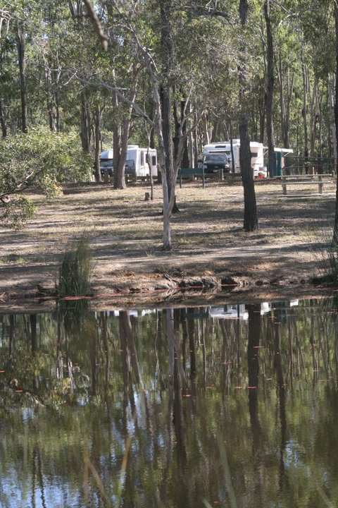 Wongi State Forest - Attractions Brisbane 1