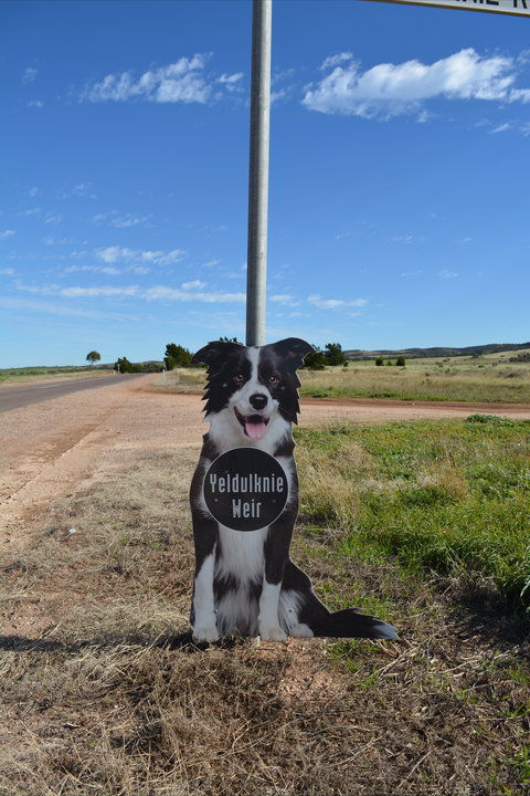 Yeldulknie Weir & Reservoir - Attractions Brisbane 0