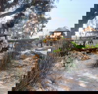 Zambi Wildlife Retreat - Attractions Brisbane