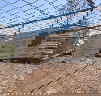 Aboriginal Carvings - Attractions Brisbane