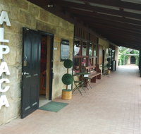 Australian Alpaca Barn - Pokolbin - Attractions Brisbane