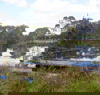 Baldwin Swamp Environmental Park - Attractions Brisbane