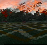 Bellingham Maze - Attractions Brisbane