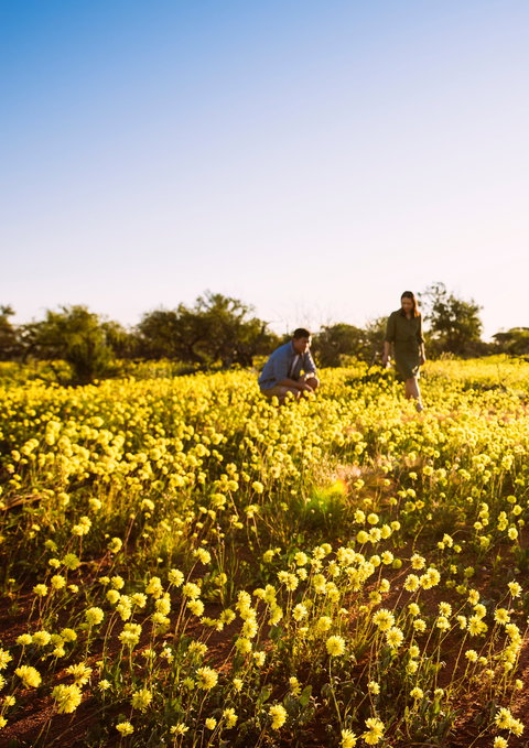 Best Of The Coral Coast - Attractions Brisbane 0