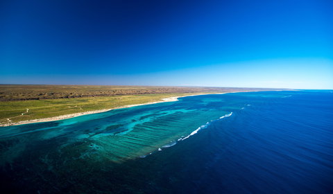 Best Of The Coral Coast - Attractions Brisbane 2