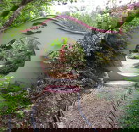 Black Dragon Gardens Wulong Yuan - Attractions Brisbane
