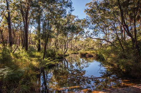 Blackdown Tableland National Park - Attractions Brisbane 2