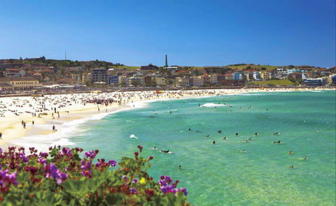 Bondi - Attractions Brisbane 0